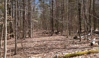 Puckerbrush Road, Campton, NH 03223