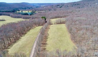 Lot 2 Doig Hollow Road, Andes, NY 13731