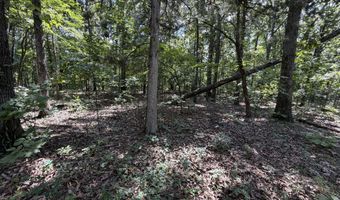 1767 Ff Hwy, Alton, MO 65606