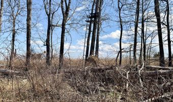 1790 County Rd A-435, Ava, MO 65608