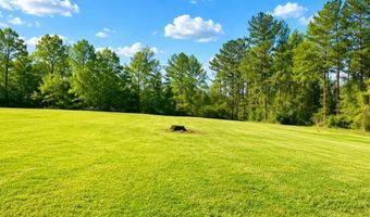 21910 Cantaline Bridge Rd, Andalusia, AL 36420