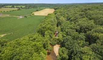 6301 Lawrence 1207, Ash Grove, MO 65604