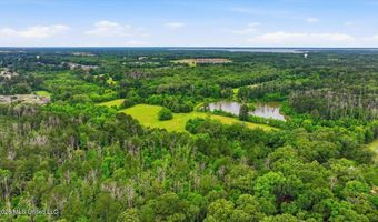 Vine Drive, Brandon, MS 39047