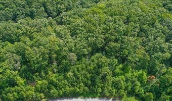 Bayside Blvd lot # 32, Bean Station, TN 37708