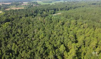 0 Lowery Rd Lot #11, Atmore, AL 36502