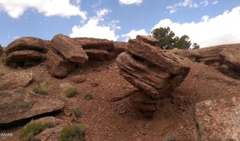 CR 212-11-013A, Concho, AZ 85924