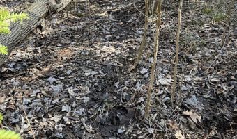 2254 E M30, Alger, MI 48610