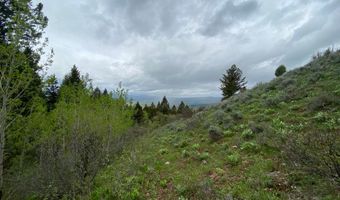 400 GROVER DRY FARM Rd, Afton, WY 83110