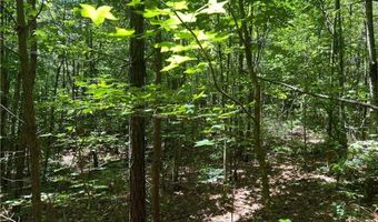 Fortner Road, Ball Ground, GA 30107
