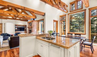 101 S Seventh St A, Aspen, CO 81611