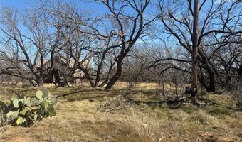 Tbd CR 260, Anson, TX 79501