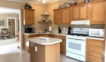7763 Lagoon Dr, Alanson, MI 49706