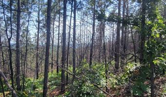0 CR 77, Ashland, AL 36251