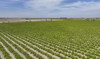 6089 Road 38, Alpaugh, CA 93201