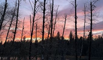 15116 NE GRANTHAM Rd, Amboy, WA 98601