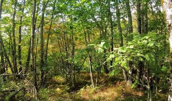 Tbd Arnett Road, Banner Elk, NC 28604
