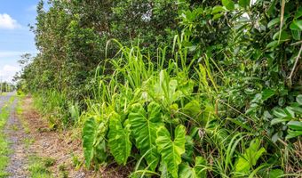4 TH Ave, Keaau, HI 96749