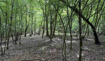 mt Olive Road, Arkadelphia, AR 71923