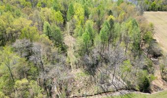 TRACT 3 W MAIN, Adamsville, TN 38310
