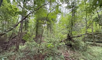 32477 Chapel Pine Drive Lot Cdt3, Albany, LA 70711