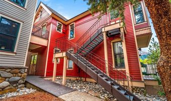 160 E Adams Ave 2, Breckenridge, CO 80424