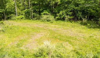 1361 Weaver Hollow Rd, Andes, NY 13731