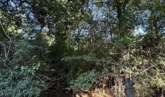Tbd Old Castle Road, Barnwell, SC 29812