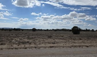 64 Antelope Run, Ash Fork, AZ 86320