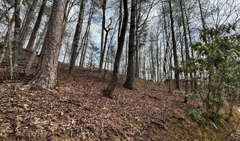 Fontana Forest lot 21, Almond, NC 28702