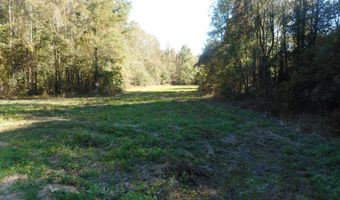 E-S Drive, Braxton, MS 39044