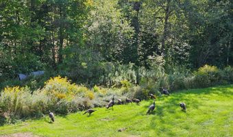 22 Boardman Way, Belfast, ME 04915