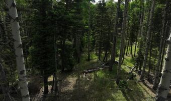 168 Mertz Pl Lot 65, Angel Fire, NM 87710