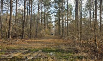 U.S. Highway 51, Bogue Chitto, MS 39629