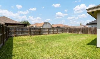 1007 W Sycamore Ave, Alton, TX 78572