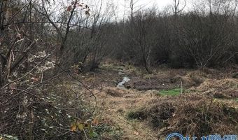 6777 Hwy 207, Anderson, AL 35610