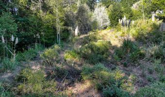 97436 WHISPER Ln, Brookings, OR 97415