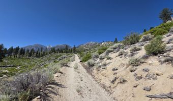 1219-04 002-005 Kingsbury Grade Rd, Gardnerville, NV 89460
