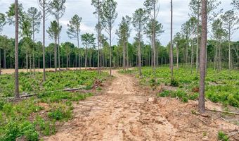 Wilson Lane, Arnoldsville, GA 30619