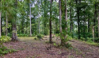158 Fisher Turnpike Rd Lot 3, Arapahoe, NC 28510