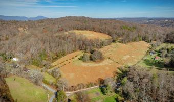 1520 Brittontown Rd, Afton, TN 37616