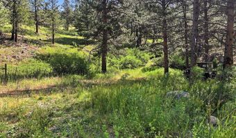 Spiritwood Ln, Bellvue, CO 80512