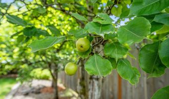 2355 SW BALSAM Ave, Beaverton, OR 97005