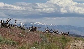Hwy 395 unit 2 2, Gardnerville, NV 89410