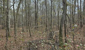 Yatesville Road, Barnesville, GA 30204