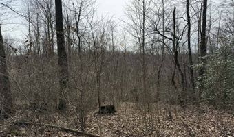 Malone Ridge Rd, Albany, KY 42602