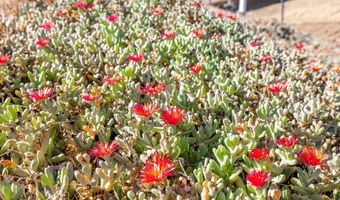 230 Hoover St, Oceanside, CA 92054