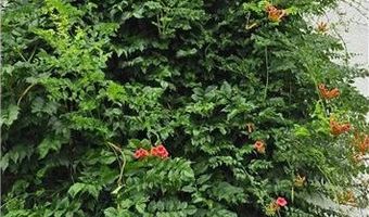 309 5th St SW, Austin, MN 55912