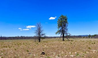 White Birch Lane lot 4, Bly, OR 97622