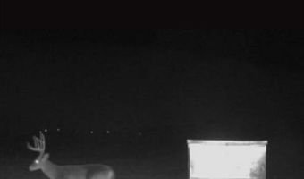 Tract 6 Tbd County Road 3204, Abbott, TX 76621