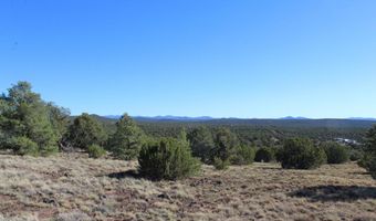6 County Road 8052, Concho, AZ 85924